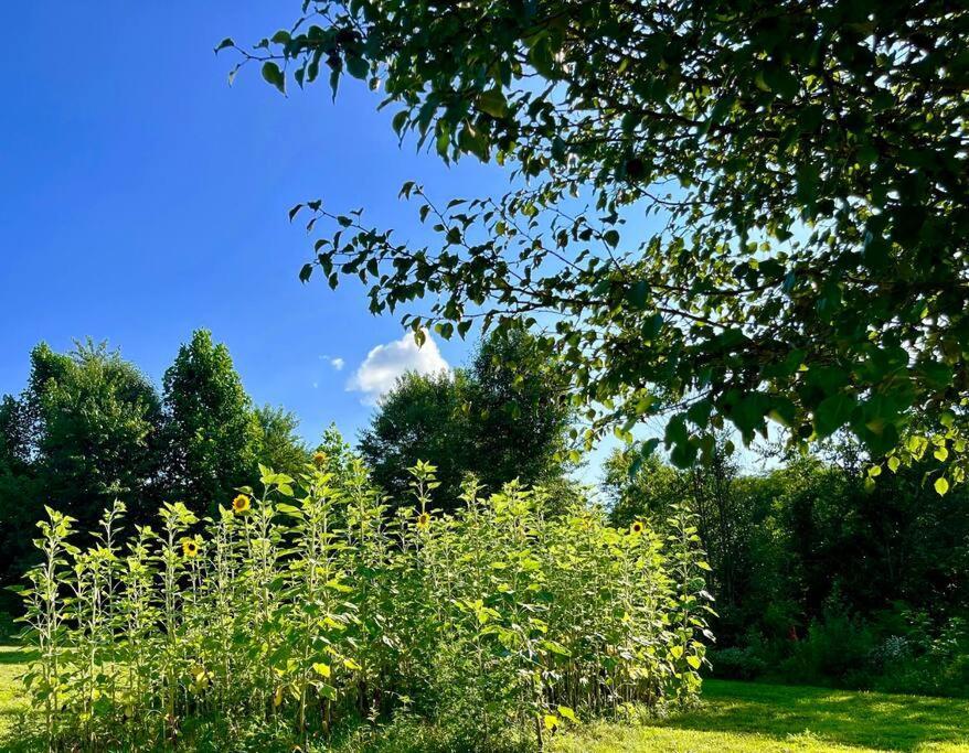 #4 Kentucky Bourbon Trail Bourbon Barrel Cottages Lawrenceburg Екстер'єр фото